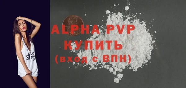 apvp Инсар