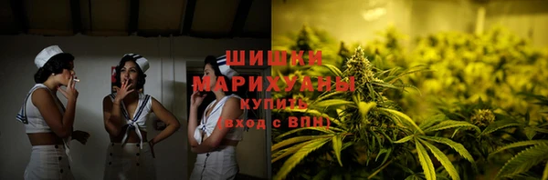 apvp Инсар