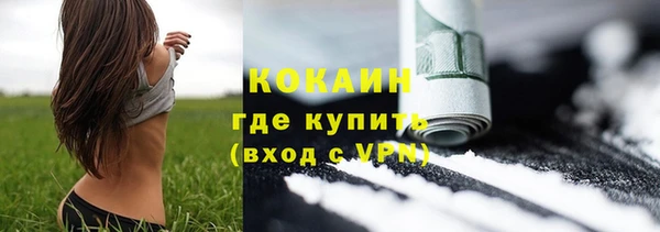 apvp Инсар