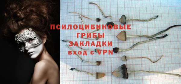 apvp Инсар