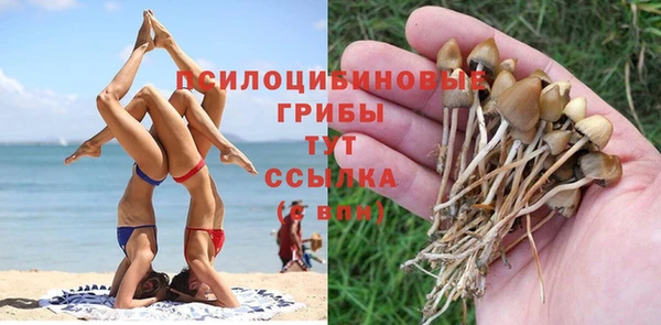 apvp Инсар