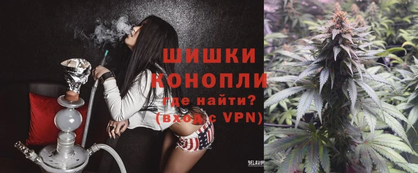 apvp Инсар