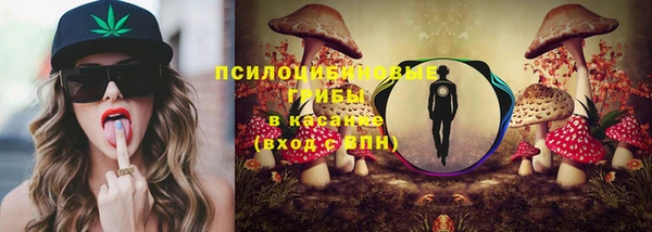 прущие крисы Инта