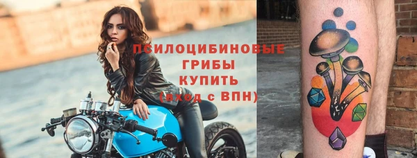 прущие крисы Инта